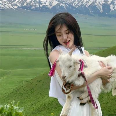钢的琴2010